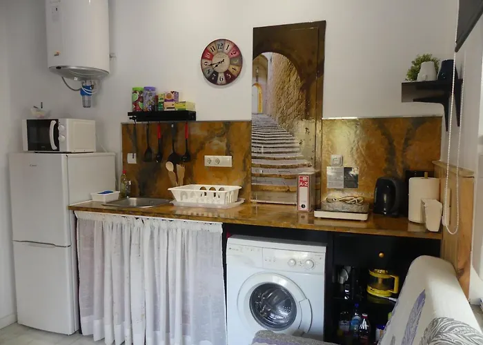 Encantador Bajo En Appartamento